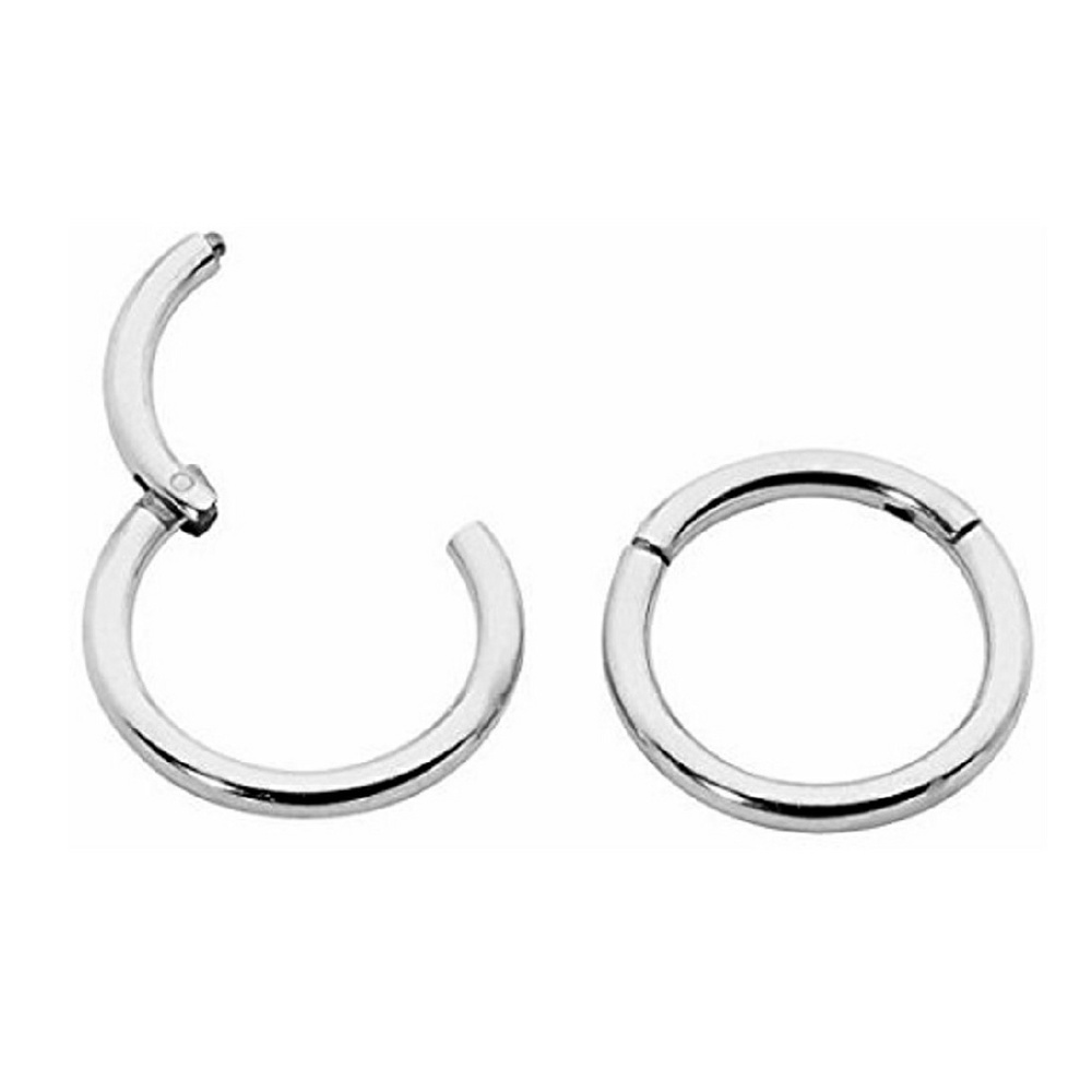 1 Pair Titanium 3/8" (10mm) 16G sleeper earrings